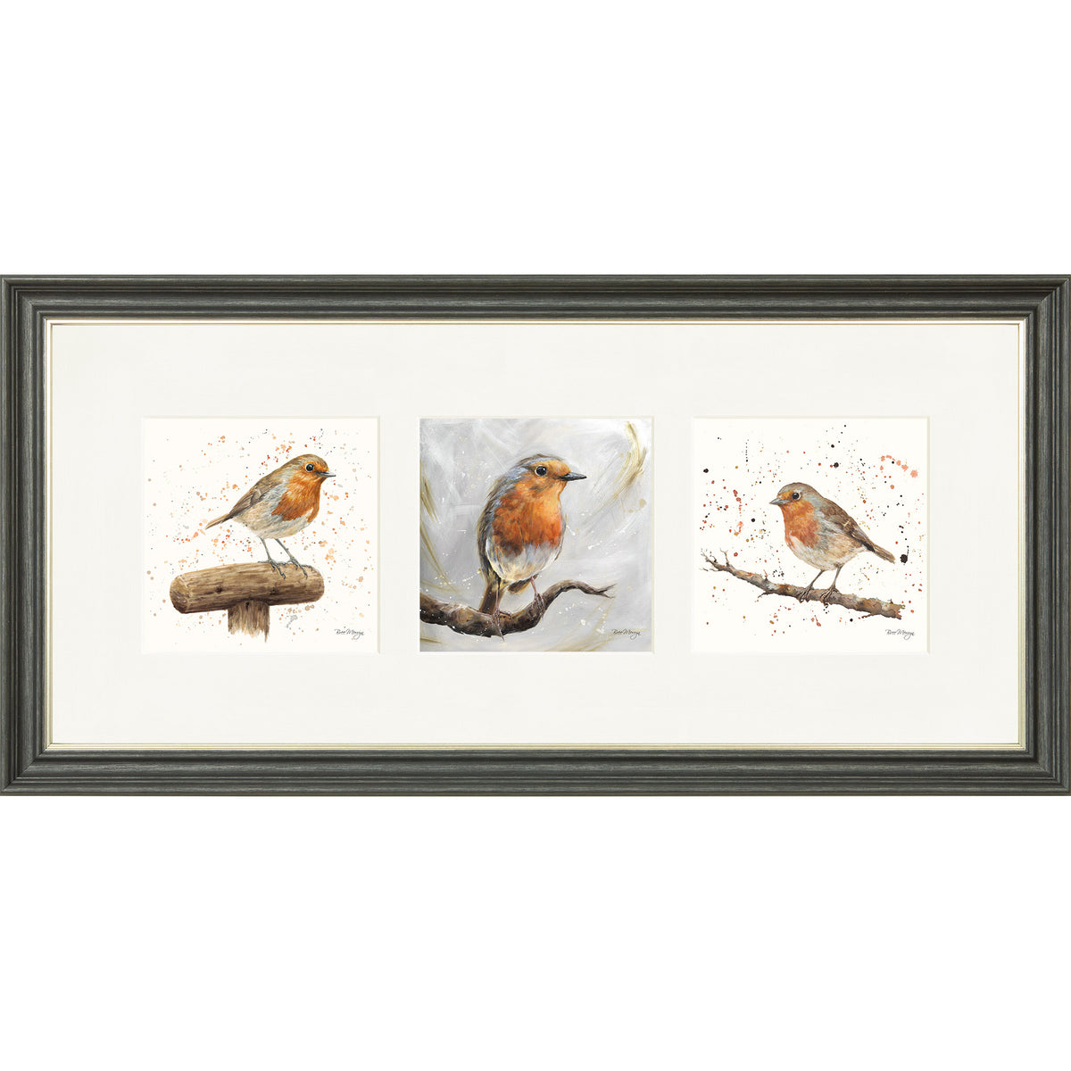 The Robins