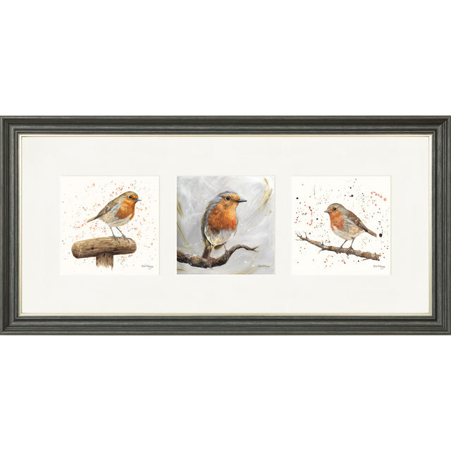 The Robins