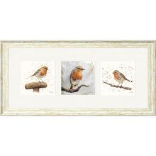 Load image into Gallery viewer, The Robins
