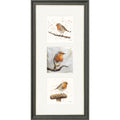 The Robins