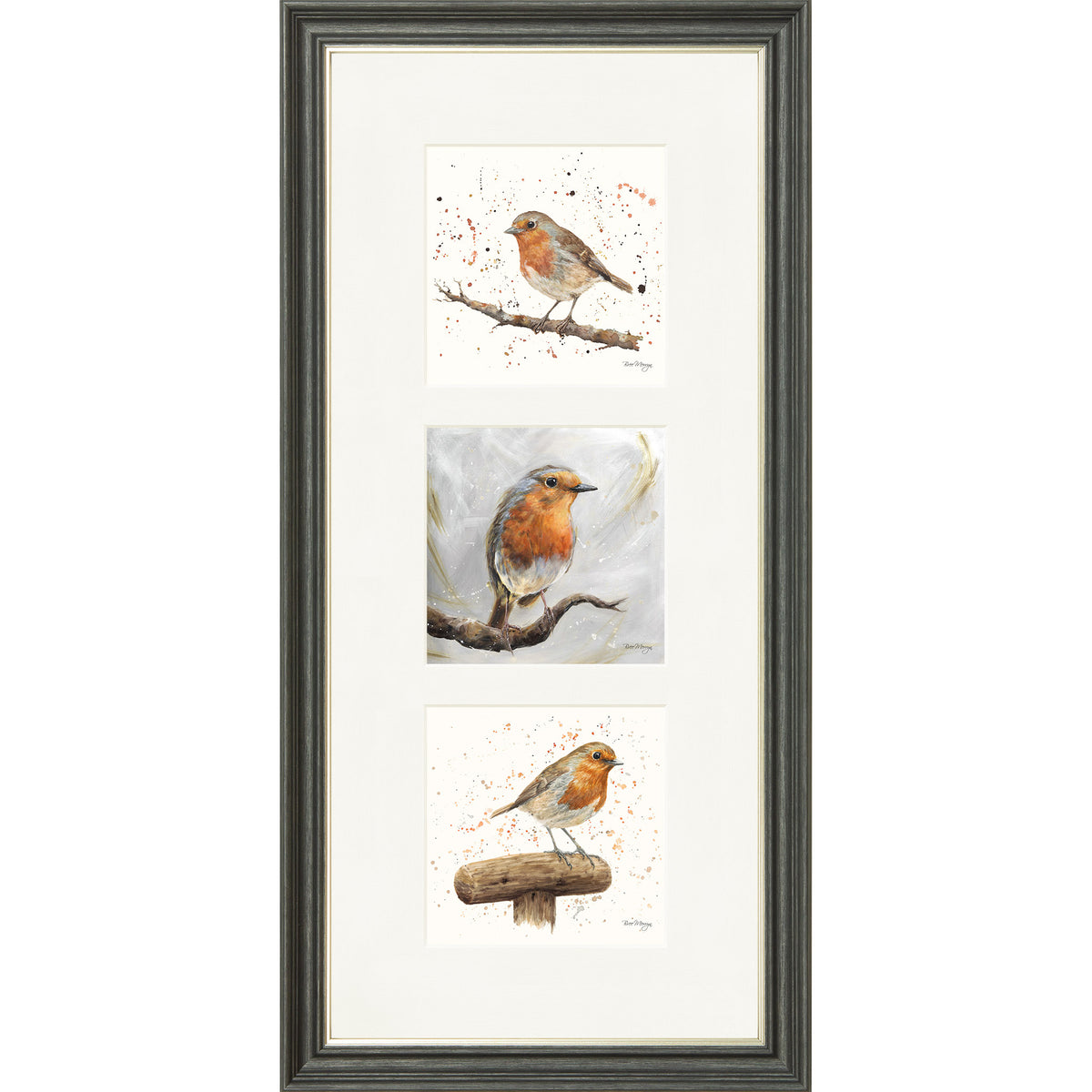 The Robins