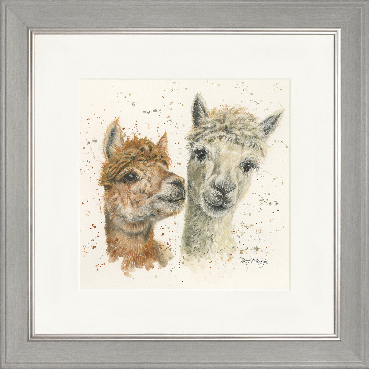 Vanilla and Fudge - llama framed print by Bree Merryn
