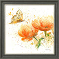 Apricot Dream