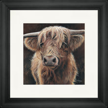 Load image into Gallery viewer, Baird
