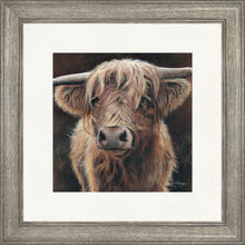 Load image into Gallery viewer, Baird
