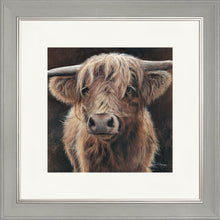 Load image into Gallery viewer, Baird
