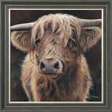 Load image into Gallery viewer, Baird
