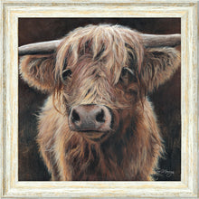 Load image into Gallery viewer, Baird
