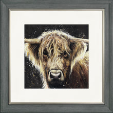 Load image into Gallery viewer, Bannerman
