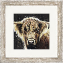 Load image into Gallery viewer, Bannerman
