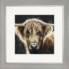Load image into Gallery viewer, Bannerman
