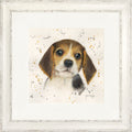 Barnaby - beagle framed print by Bree Merryn