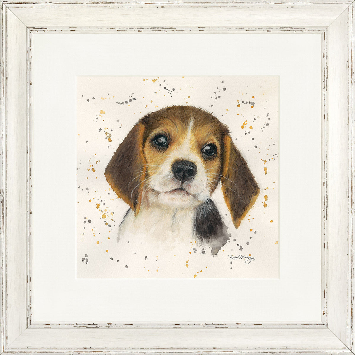 Barnaby - beagle framed print by Bree Merryn