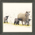Behind Ewe