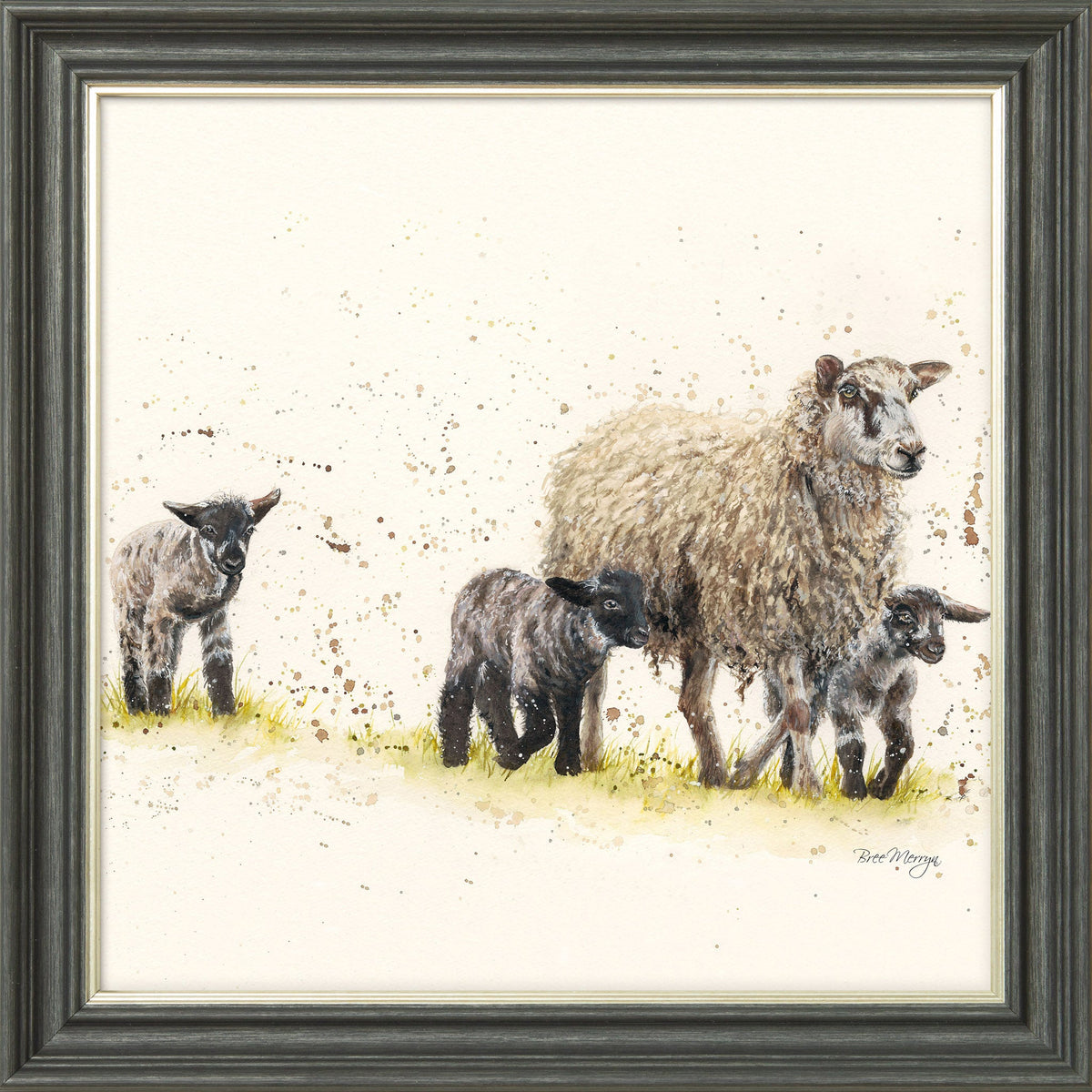 Behind Ewe