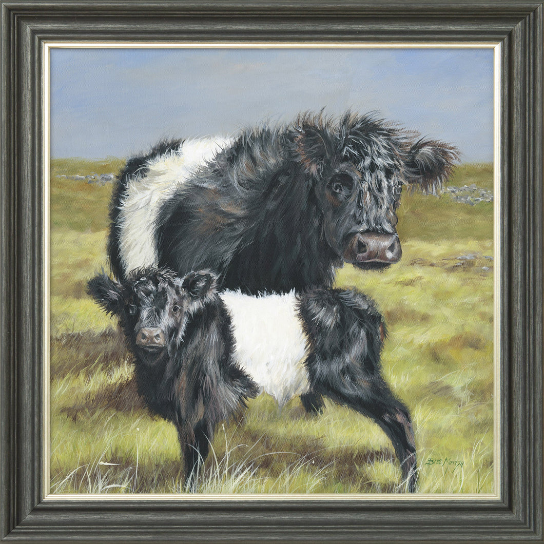 Belties