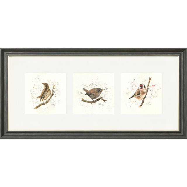Bird Life