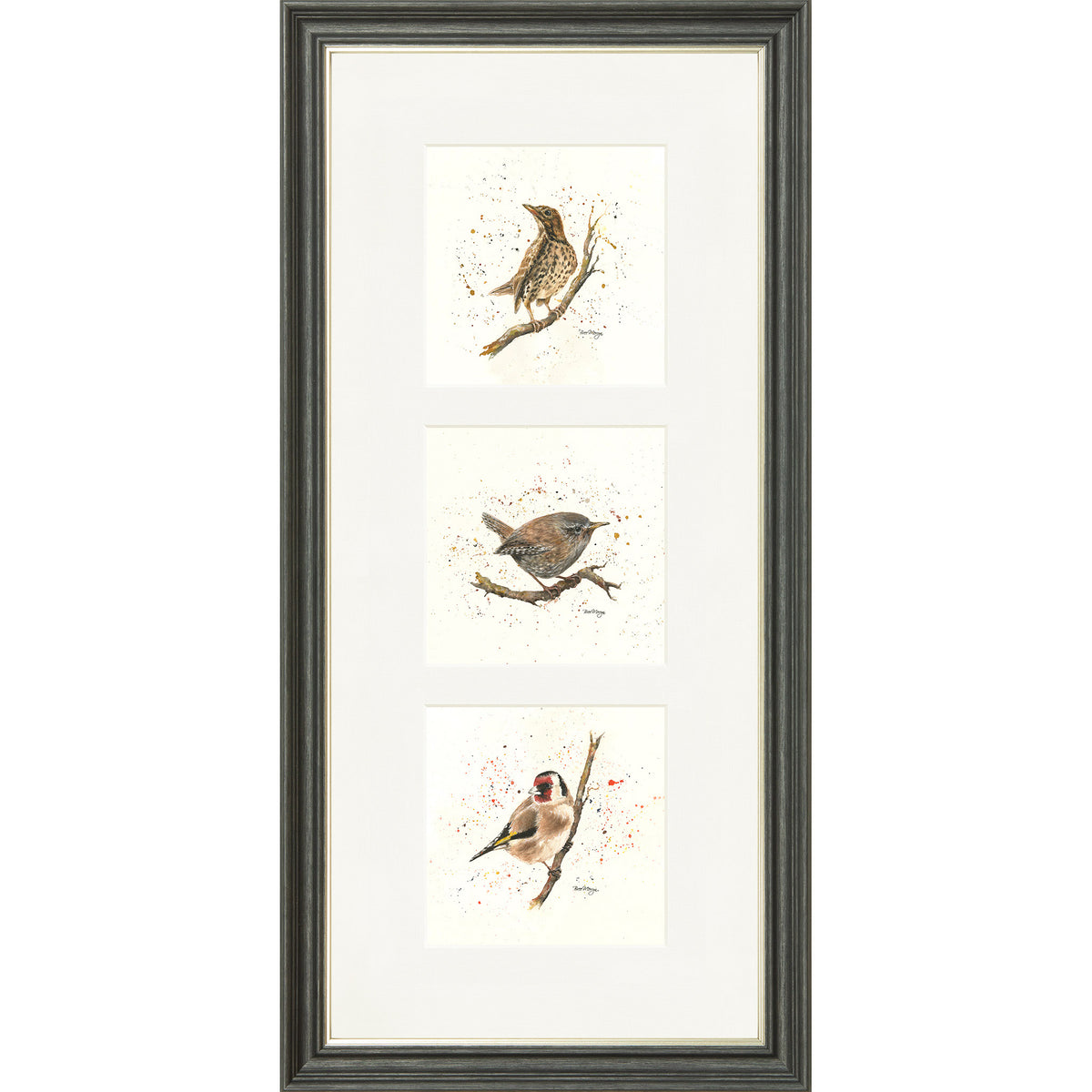 Bird Life