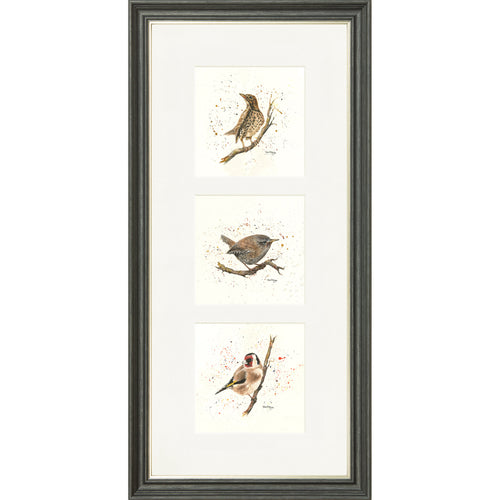 Bird Life