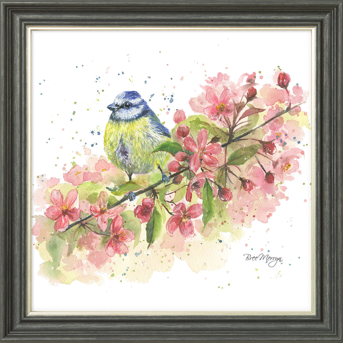 Blossom