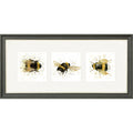 Buzz Buzz Buzz - bee triptych framed print by Bree Merryn