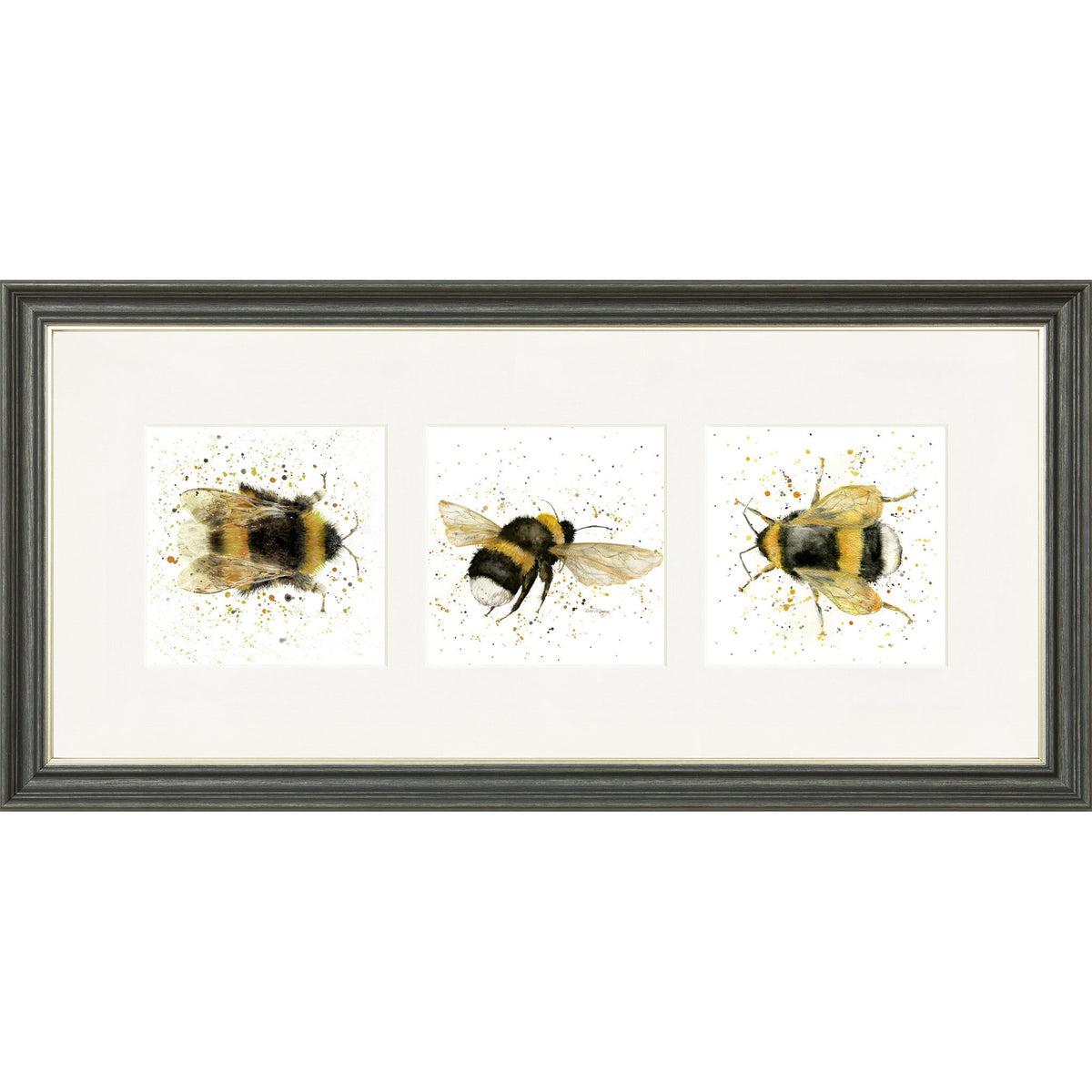 Buzz Buzz Buzz - bee triptych framed print by Bree Merryn