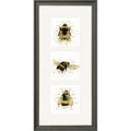 Buzz Buzz Buzz
