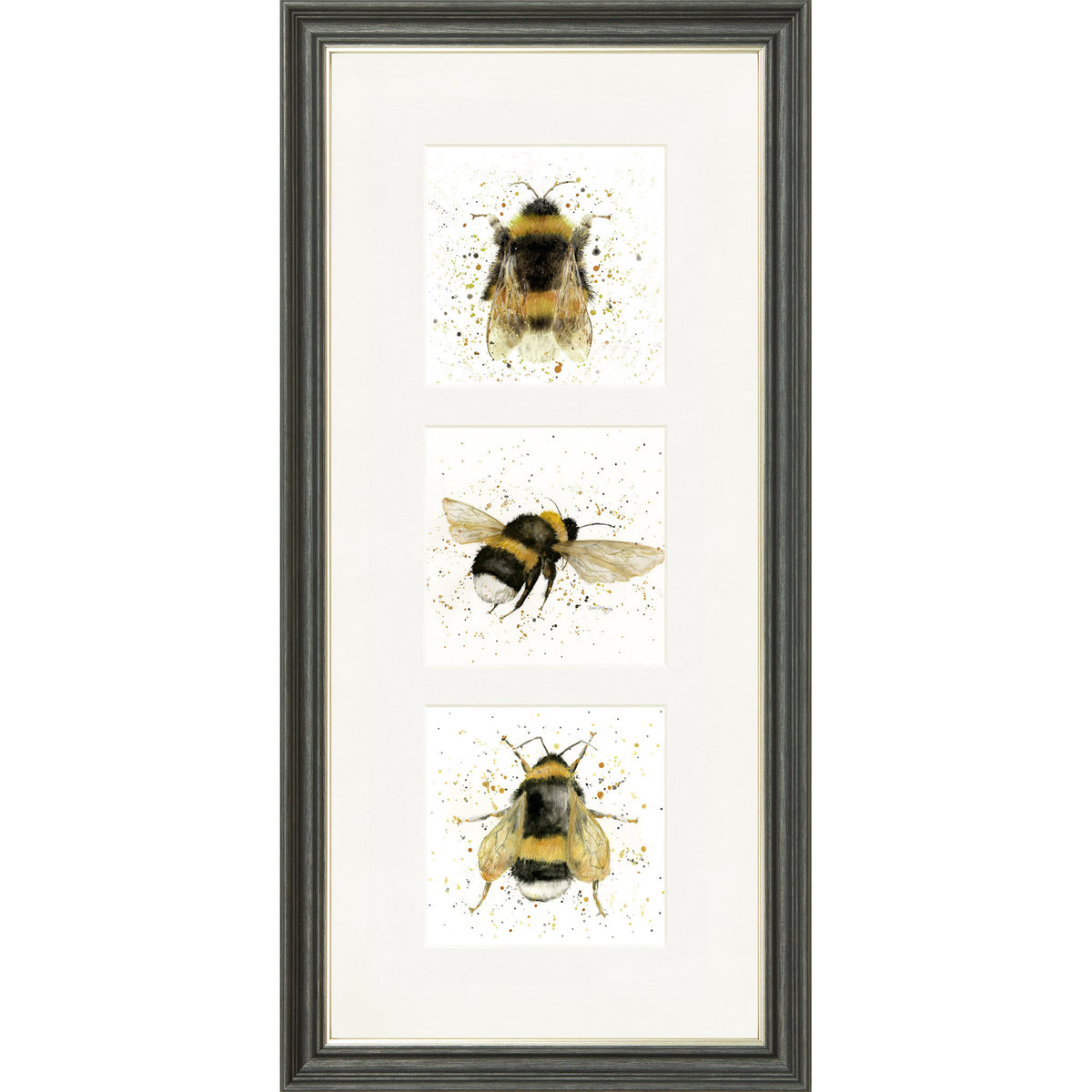Buzz Buzz Buzz