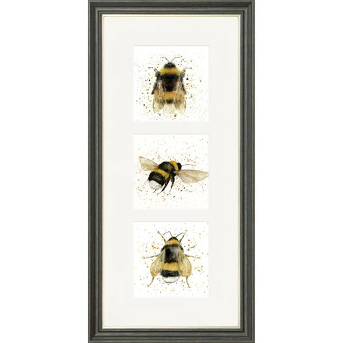 Buzz Buzz Buzz