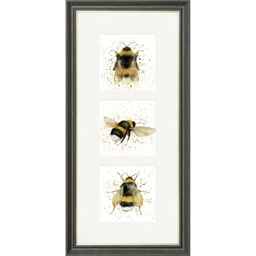 Buzz Buzz Buzz