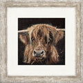 Cinnamon - highland cow framed print by Bree Merryn