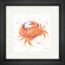 Load image into Gallery viewer, Claude
