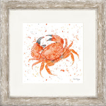 Load image into Gallery viewer, Claude
