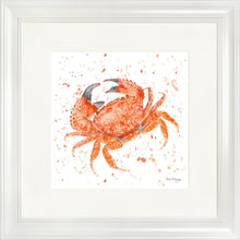 Load image into Gallery viewer, Claude
