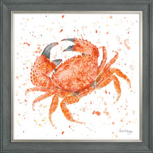 Load image into Gallery viewer, Claude
