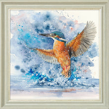 Load image into Gallery viewer, Colourful Kingfisher

