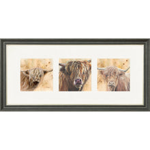 Load image into Gallery viewer, Colourful Coos
