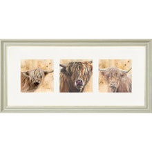 Load image into Gallery viewer, Colourful Coos
