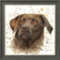 Cooper