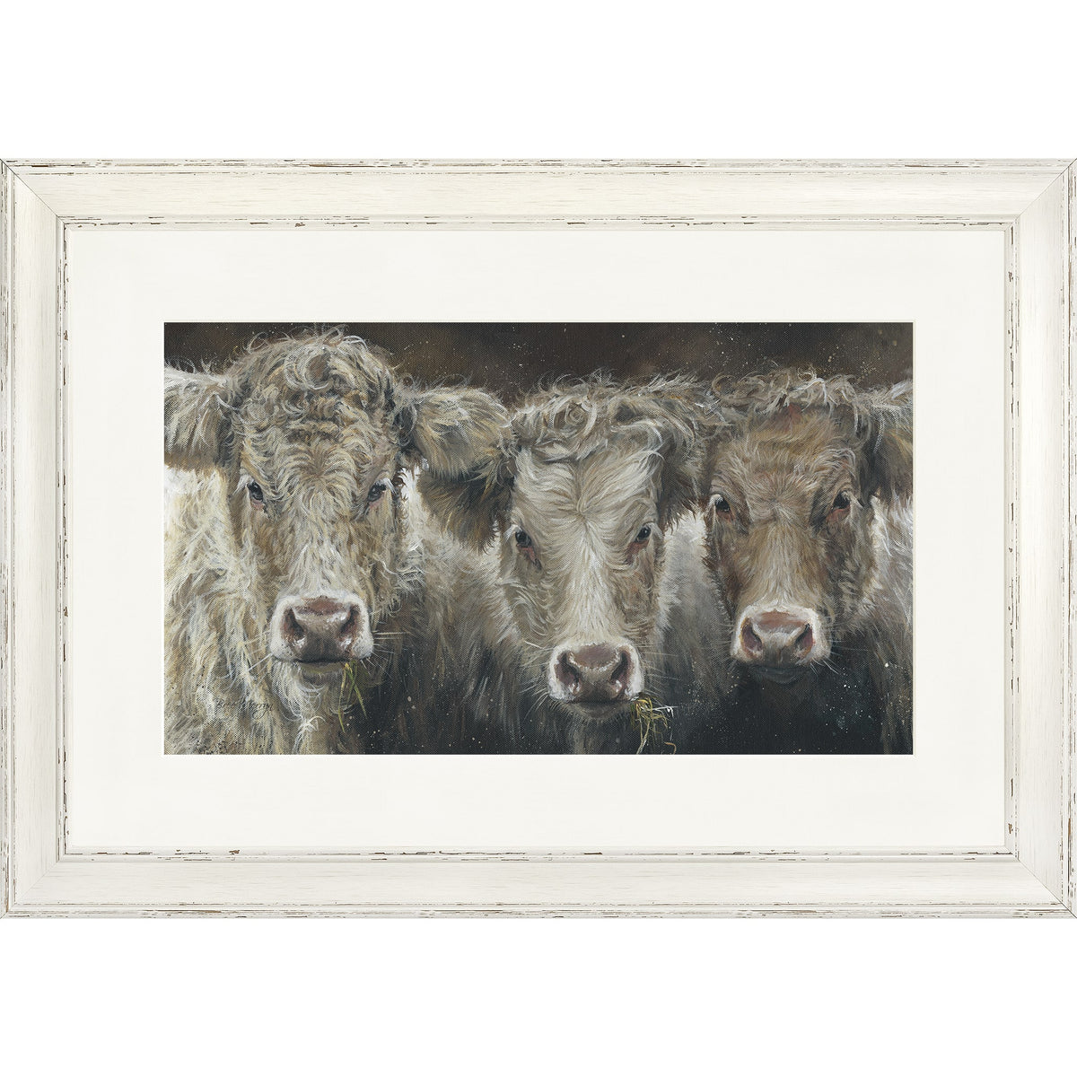 Cow Do You Do