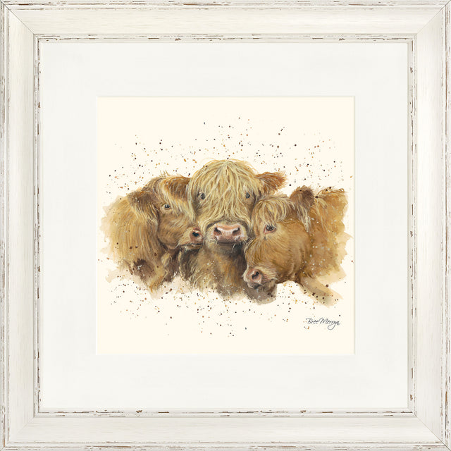 Cuddly Coos