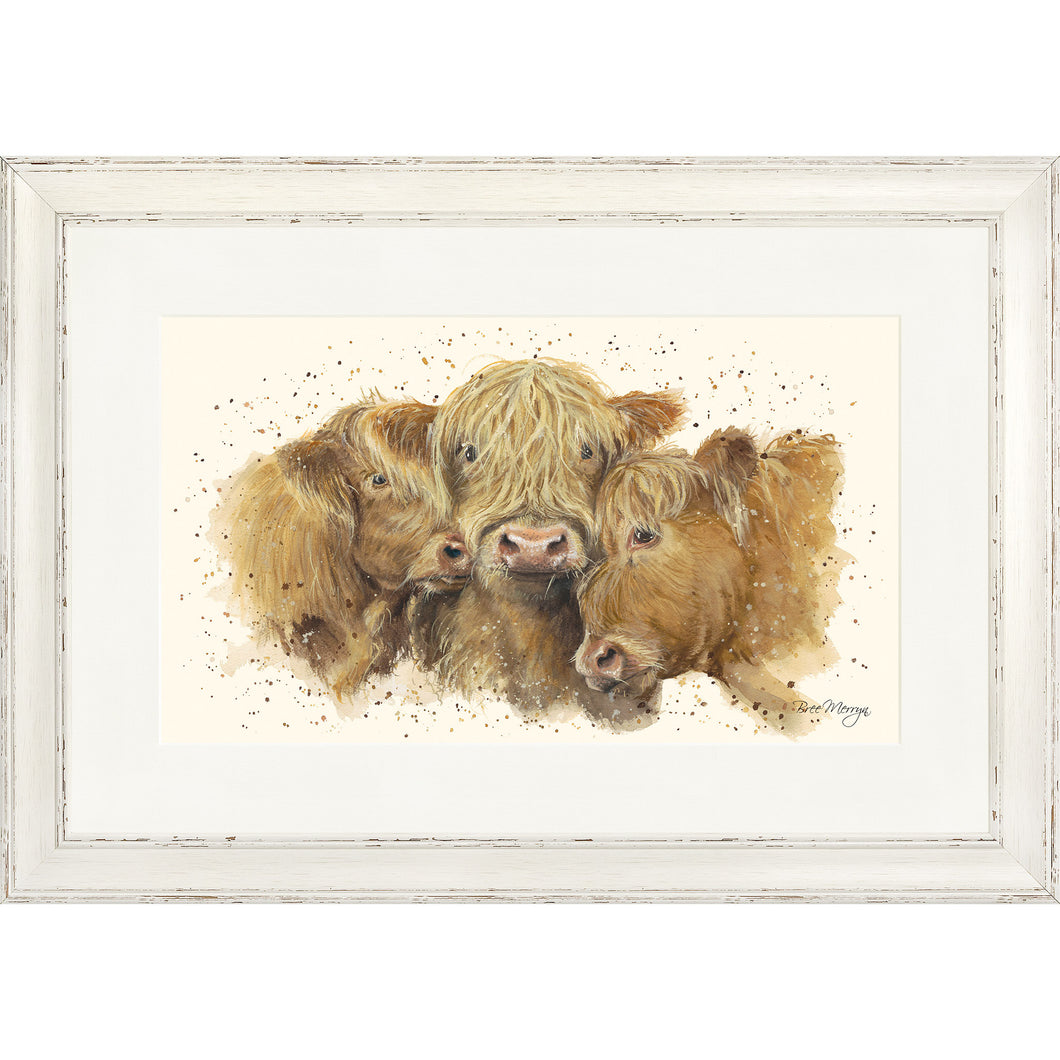 Cuddly Coos