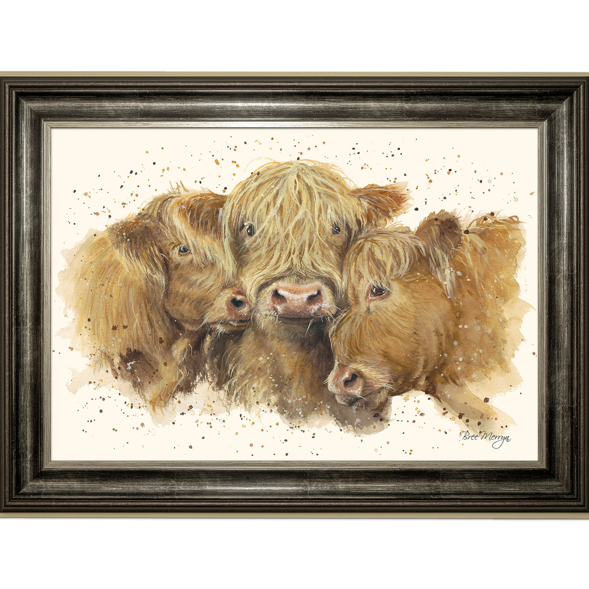 Cuddly Coos
