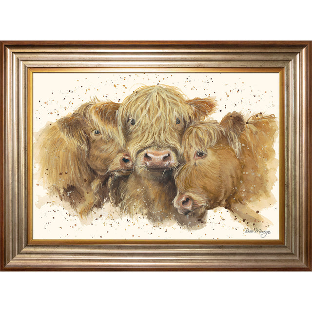 Cuddly Coos