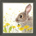 Dandelion Delight