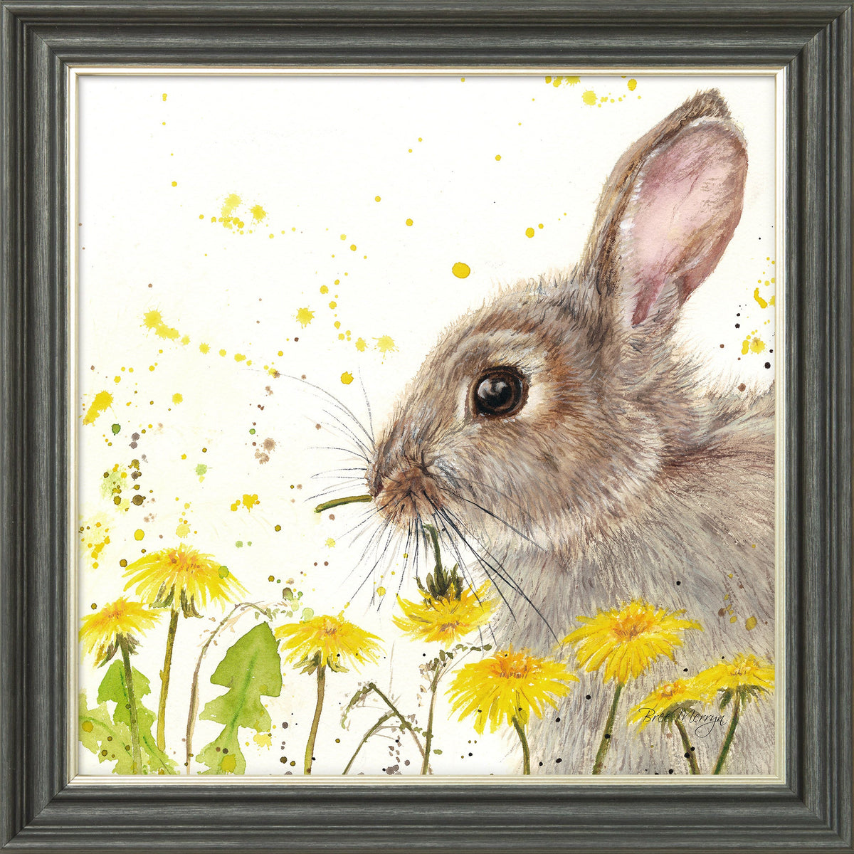 Dandelion Delight