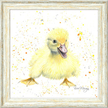 Load image into Gallery viewer, Dixie
