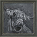 Dougal 2