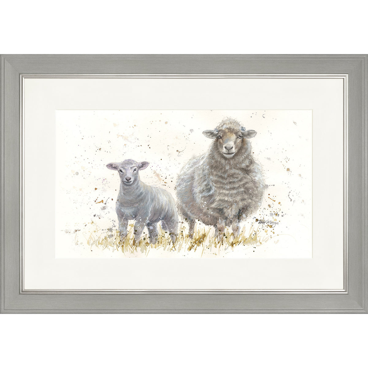 Ewe Beauties