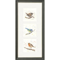 Feathered Friends
